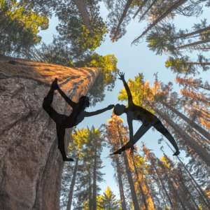 Yoga ai piedi della sequoia - yoga Biella